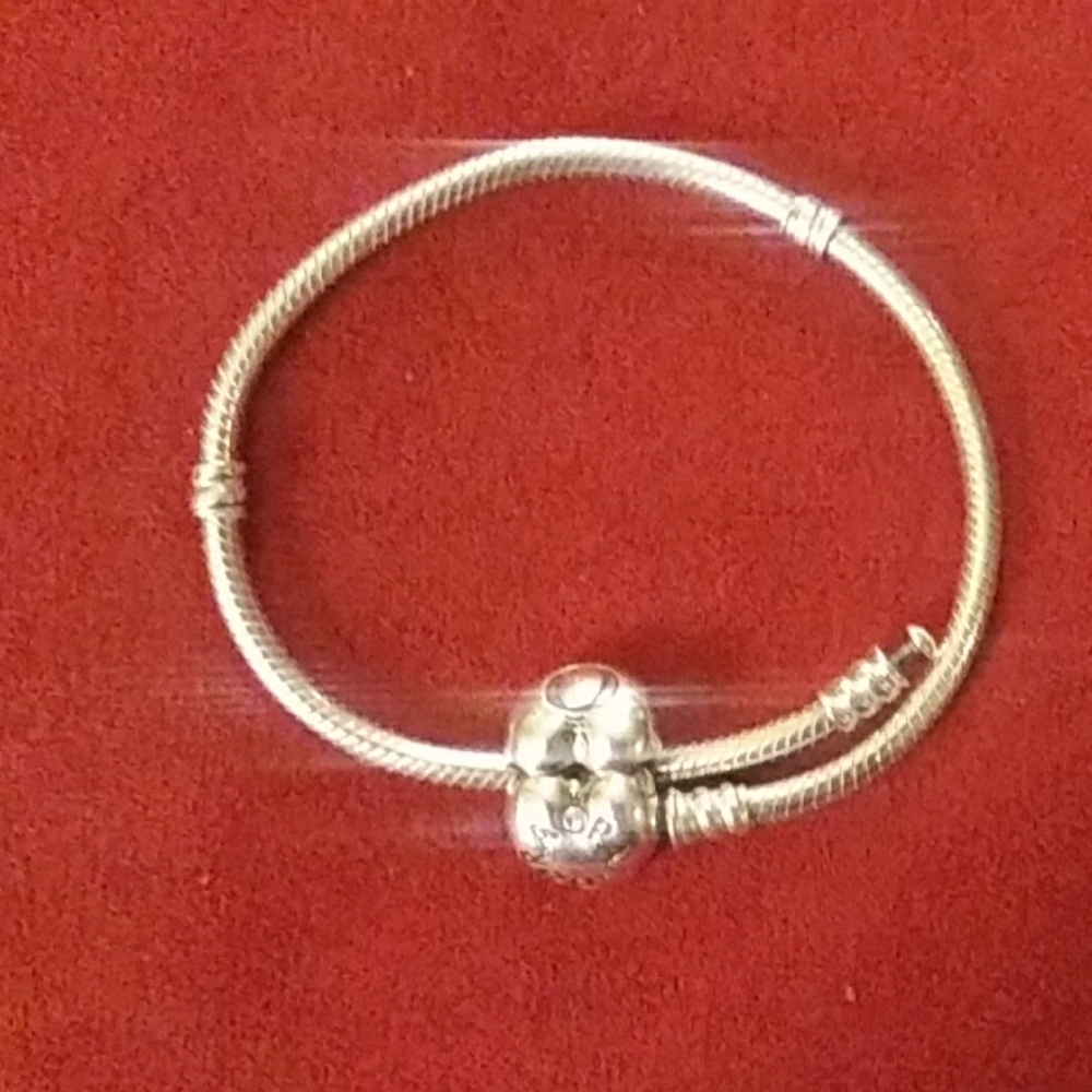 Pandora bracelet